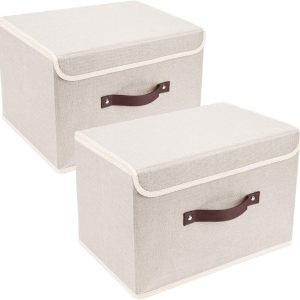 Collapsible Storage Box with Lid, 38x25x25cm, 2-Pack
